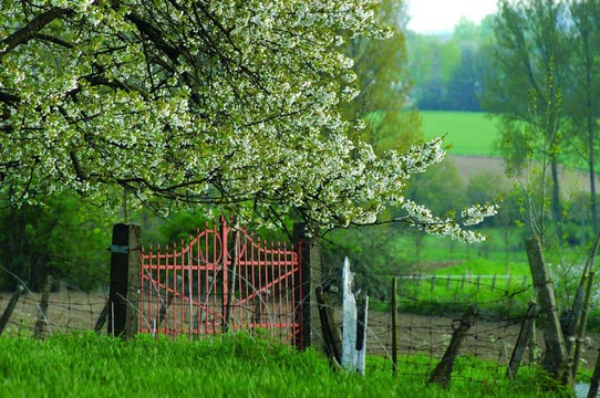 Wandelen heuvelland vakantie voorjaar najaar