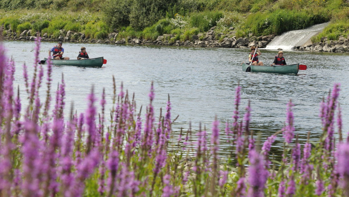 Wandelen heuvelland vakantie voorjaar van der valk 