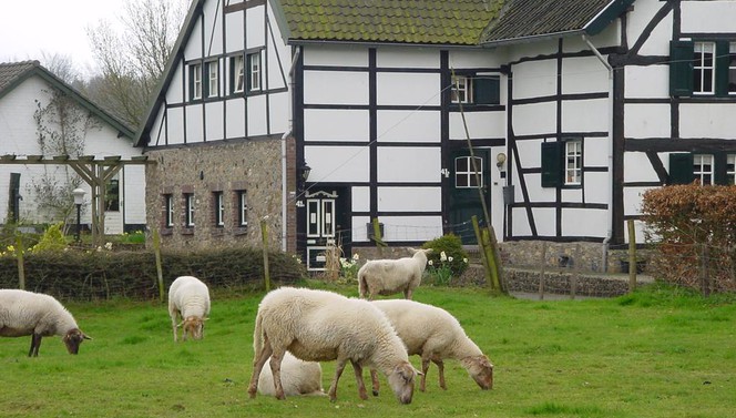 Wandelen heuvelland vakantie voorjaar van der valk 