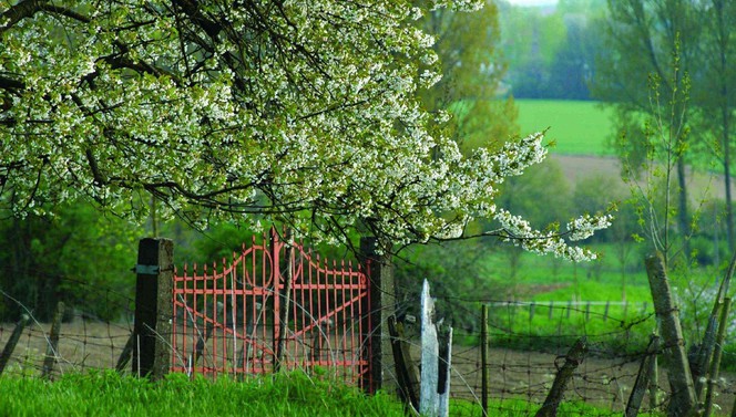 Wandelen heuvelland vakantie voorjaar najaar