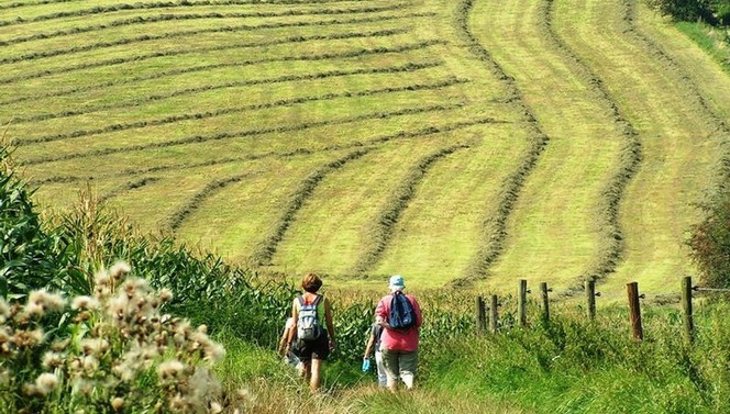 Wandelen heuvelland vakantie zomerdeal zomer vakantie