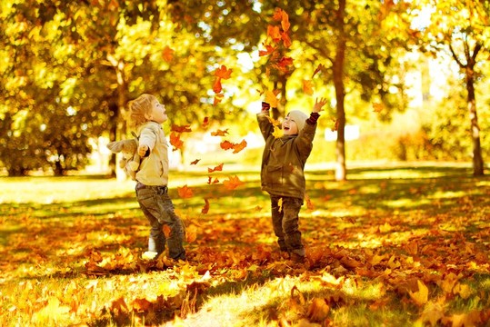 Wandelen heuvelland vakantie herfst najaar