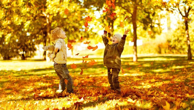 Wandelen heuvelland vakantie herfst najaar