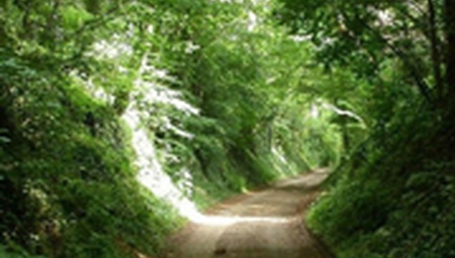 Fietsen wandelen heuvelland sportief weekend van der valk stein urmond